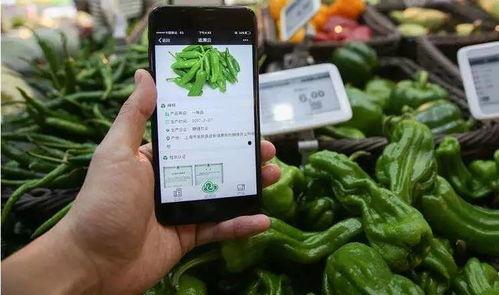 网红吃瓜微信扫码,揭秘微信扫码背后的秘密与狂欢！”  第2张