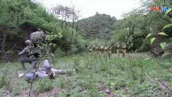 侠影神剑在线观看,江湖传奇，剑指巅峰  第2张